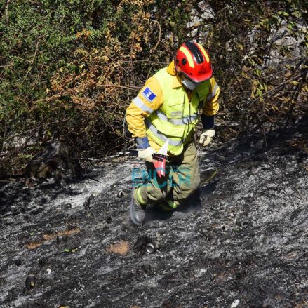incencio forestal