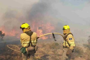 Geacam-bomberos-forestales