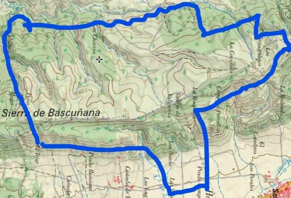 Área afectada en la Sierra de Bascuñana