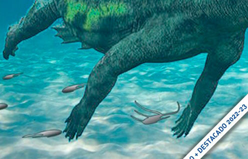 Recreación de las patas de un notosaurio. Imagen: UAH,