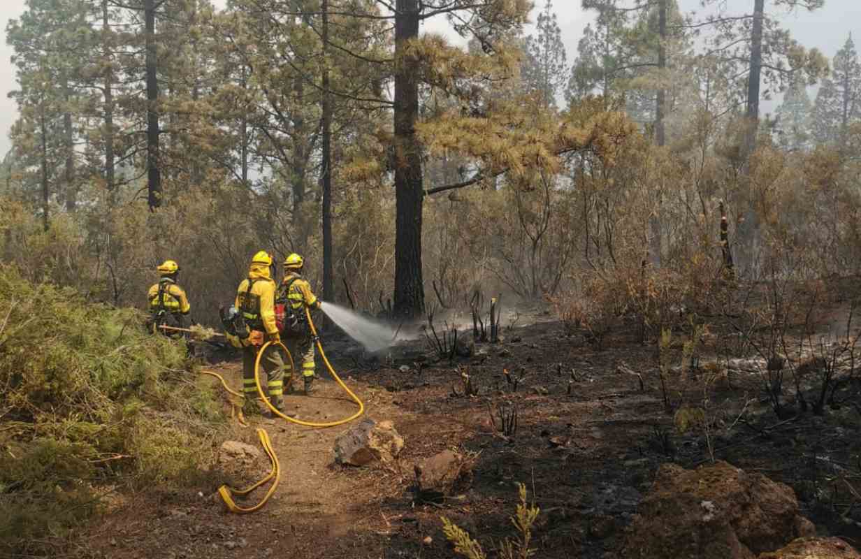 Imágenes de una de las BRIF del Ministerio en el incendio de Tenerife.