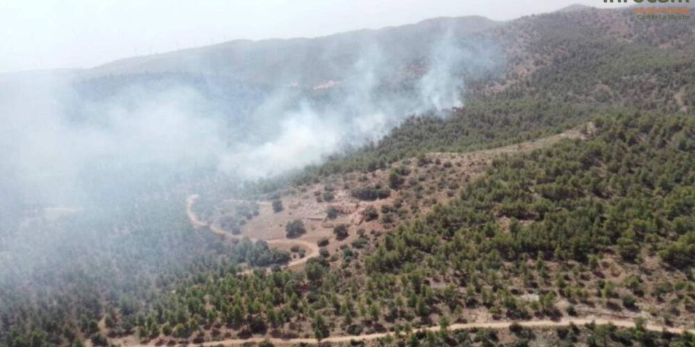 Imagen aérea del incendio en Peñas de San Pedro (Albacete). Foto del Plan Infocam.