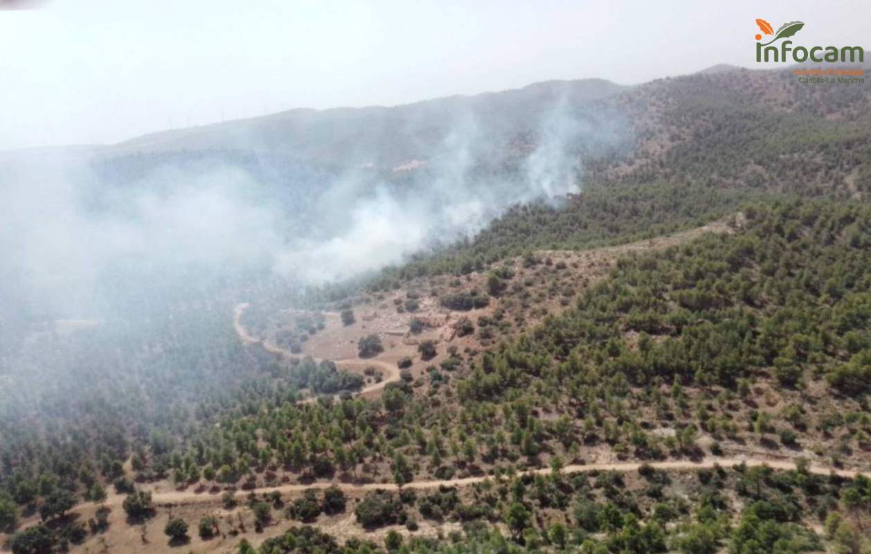 Imagen aérea del incendio en Peñas de San Pedro (Albacete). Foto del Plan Infocam.