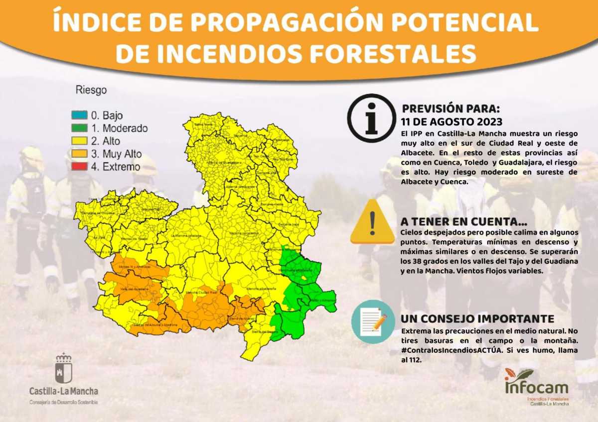 ipp-11-agosto