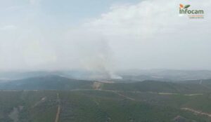 Imagen del incendio en Puebla de Don Rodrigo.