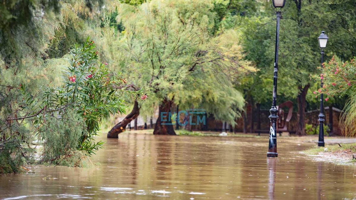 Senda ecológica día después de la dana