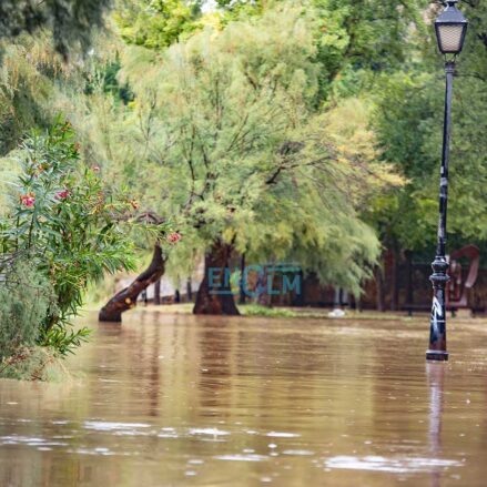 Senda ecológica día después de la dana