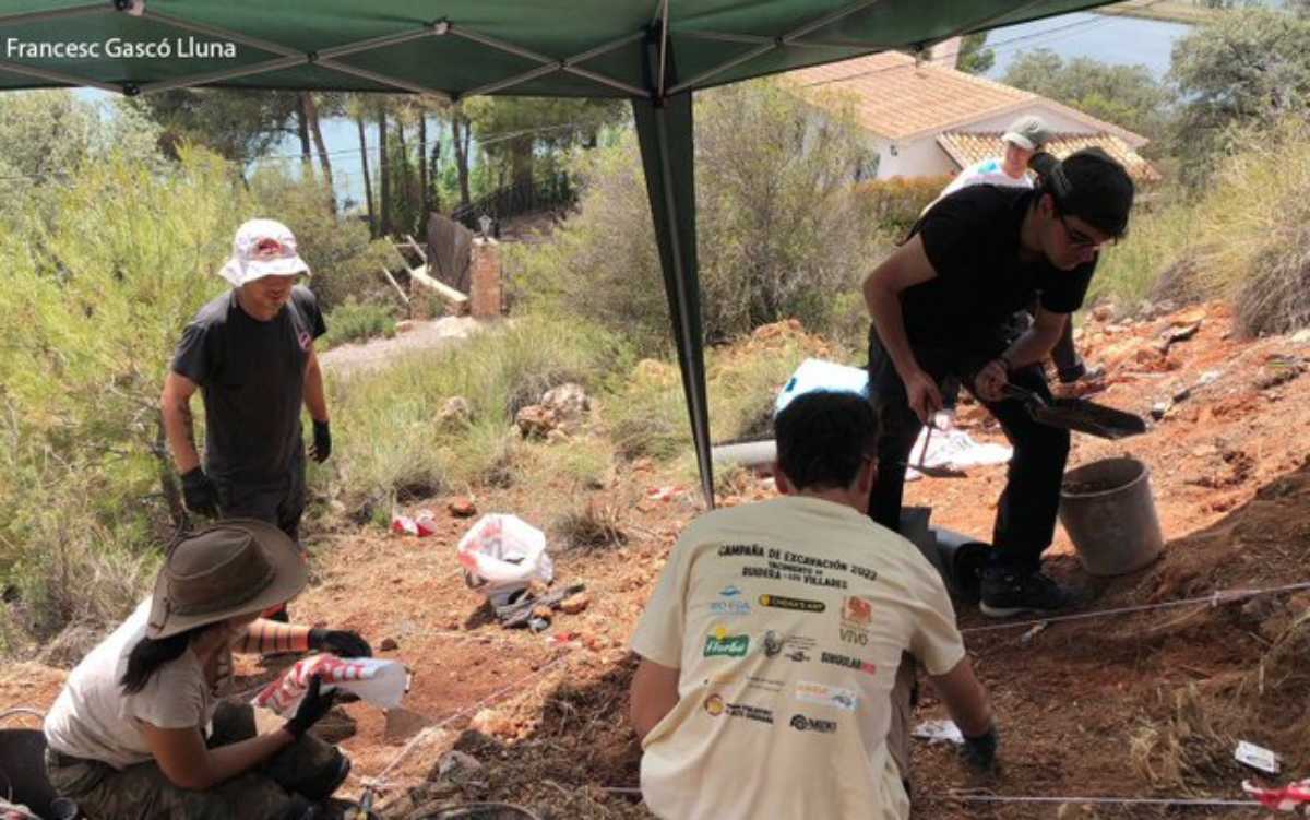 Más de 1.000 fósiles del Pleistoceno hallados en la primera campaña de excavación del yacimiento Ruidera-Los Villares. Foto: @unicomplutense