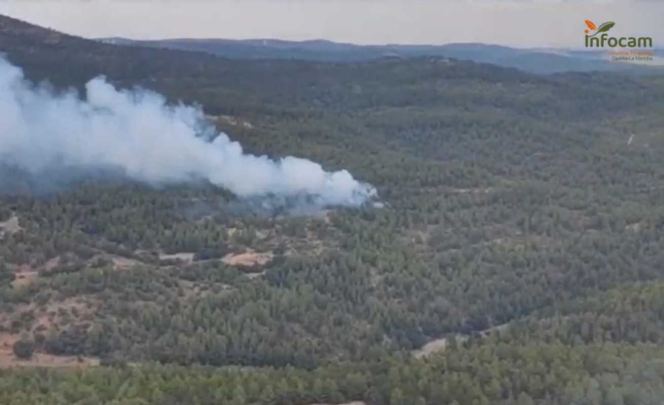 Incendio forestal en Bogarra (Albacete)