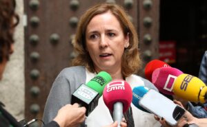 Loreto Molina, concejala de Obras, Servicios y Parques y Jardines del Ayuntamiento de Toledo.