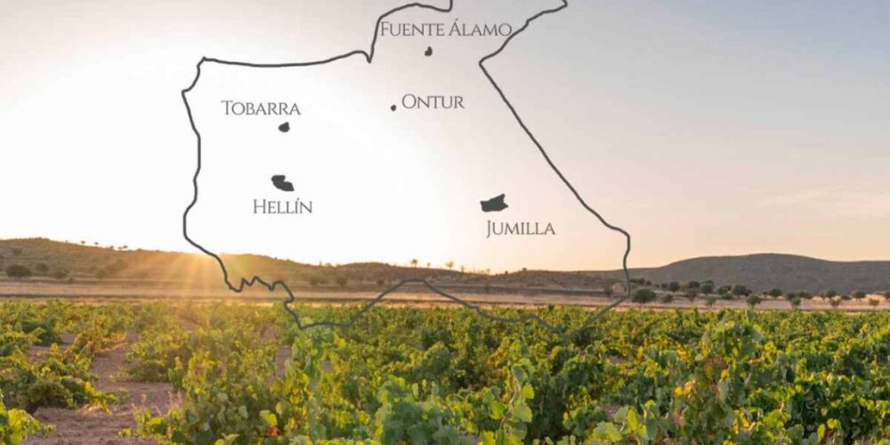 Ruta del Vino de Jumilla: 22 bodegas en seis municipios.