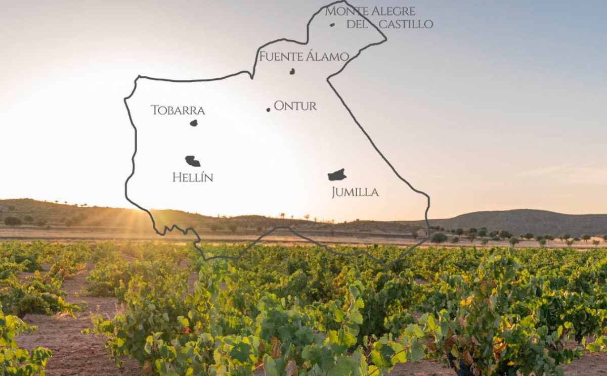 Ruta del Vino de Jumilla: 22 bodegas en seis municipios.