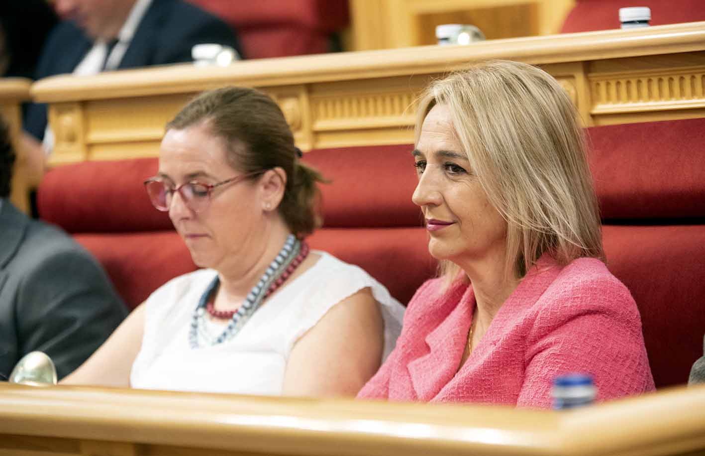 Inés Cañizares en una foto en el pleno del Ayuntamiento de Toledo.