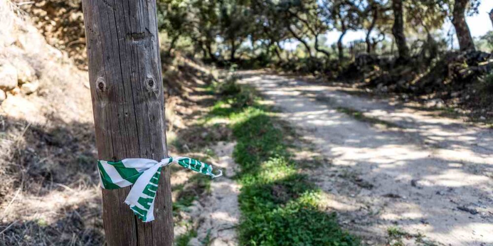 Imagen del lugar donde fue encontrada sin vida Belén, vecina de Pelahustán. Foto: EFE/Ángeles Visdómine.