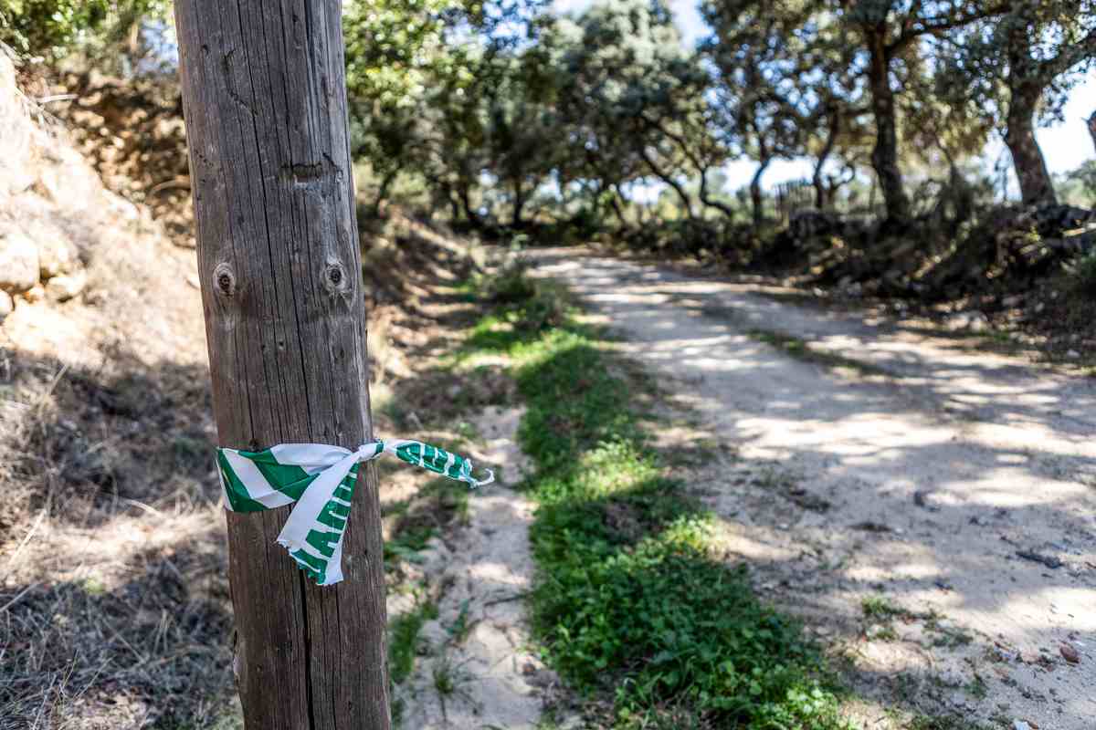 Imagen del lugar donde fue encontrada sin vida Belén, vecina de Pelahustán. Foto: EFE/Ángeles Visdómine.