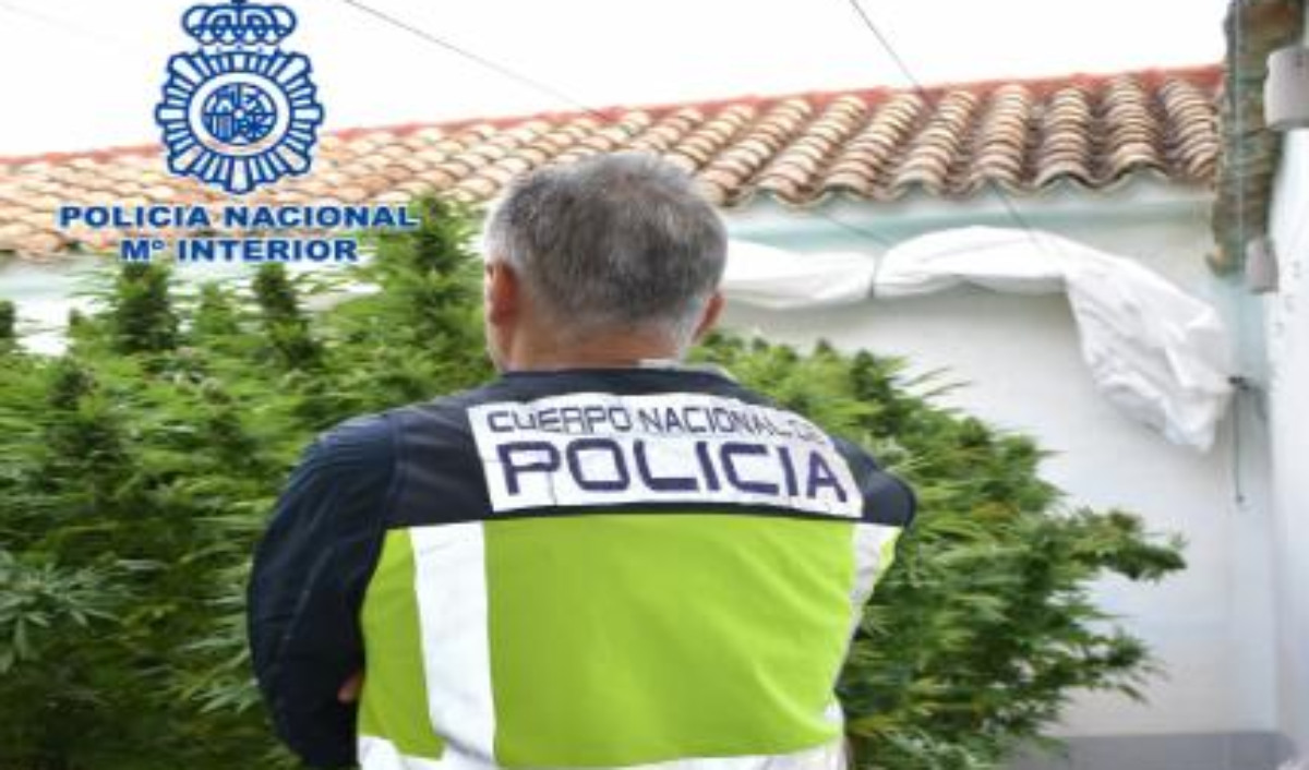 El olor a marihuana llevó a sospechar a una persona, quien denunció de forma anónima.