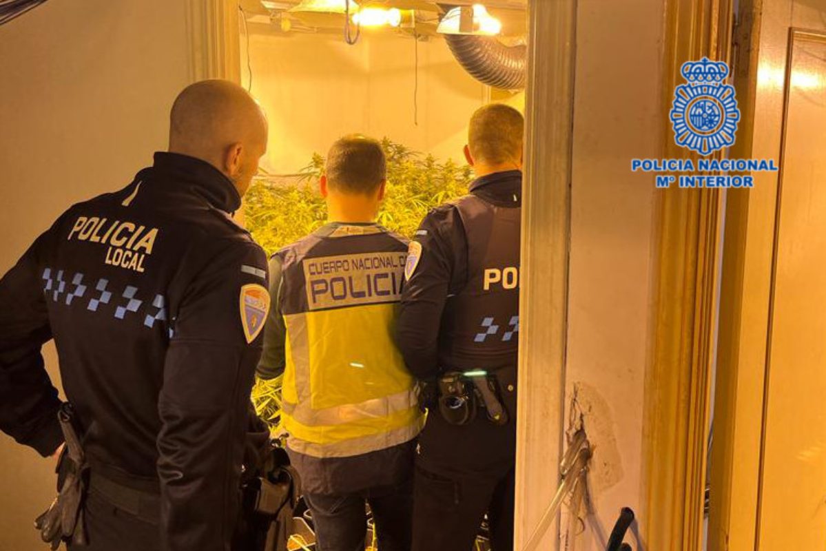 Operación contra el tráfico de drogas en Cabañas de la Sagra (Toledo).