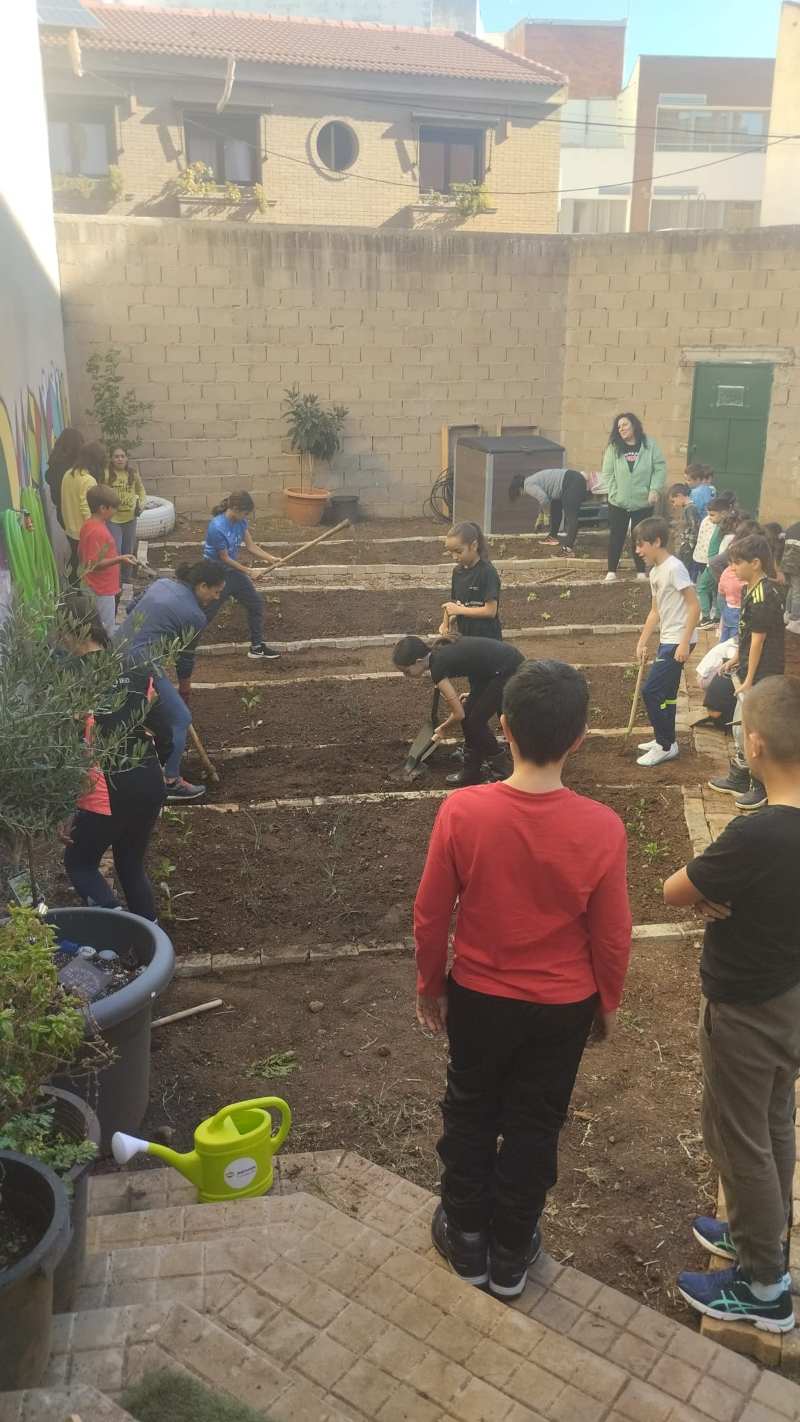 El huerto urbano del CEIP Enrique Tierno Galván, su "joya de la corona". Foto: CEIP Tierno Galván.