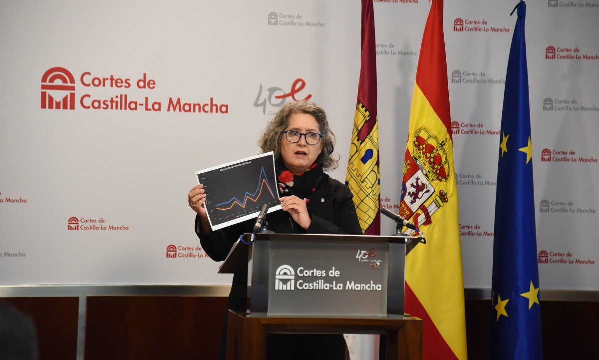 Mercedes Gómez, consejera de Desarrollo Sostenible.