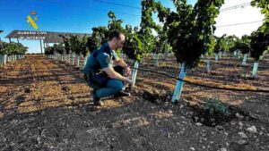 Operación contra una empresa que extraía ingentes cantidades de agua subterránea en Iniesta (Cuenca).