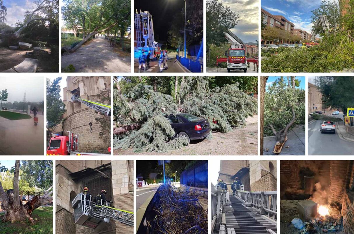 Algunos de los destrozos provocados por la borrasca en Toledo.