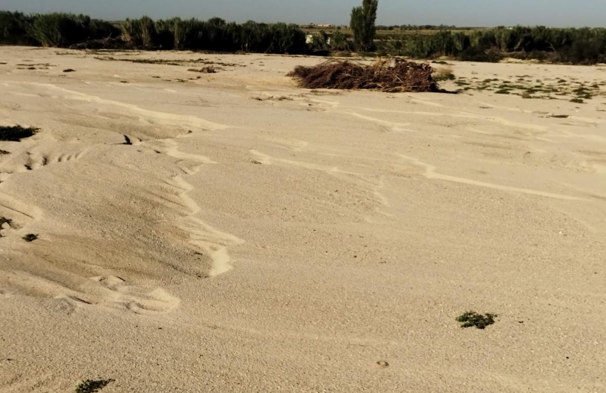 Uno de los campos afectados por la DANA.