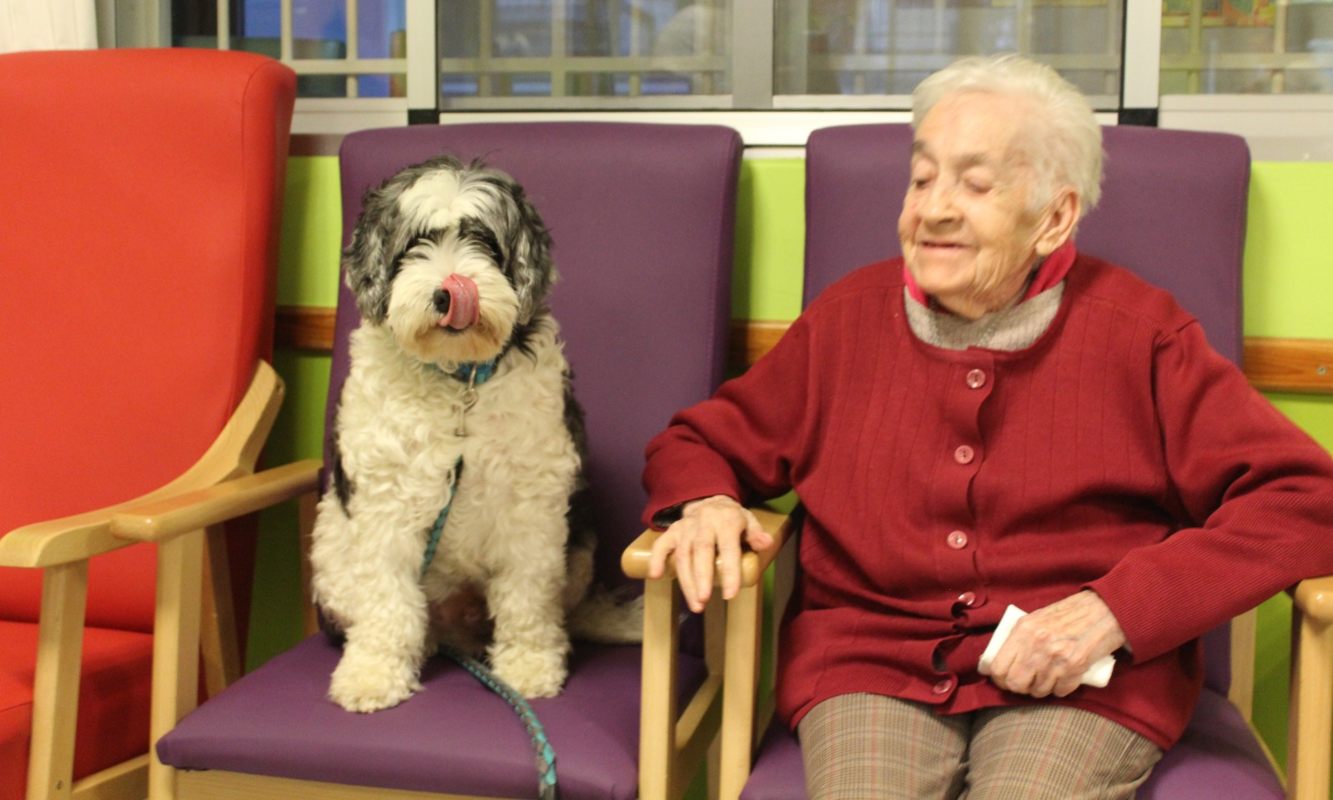 Terapia exitosa con perros en la residencia provincial de Cuenca.