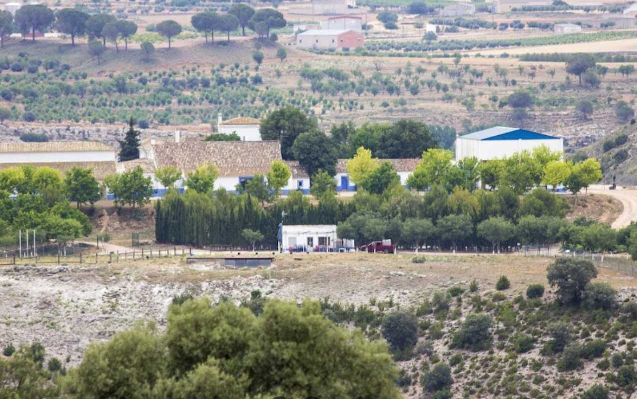 Accidente de caza en la finca El Molar de Fuentealbilla (Albacete). Foto: Google Maps.