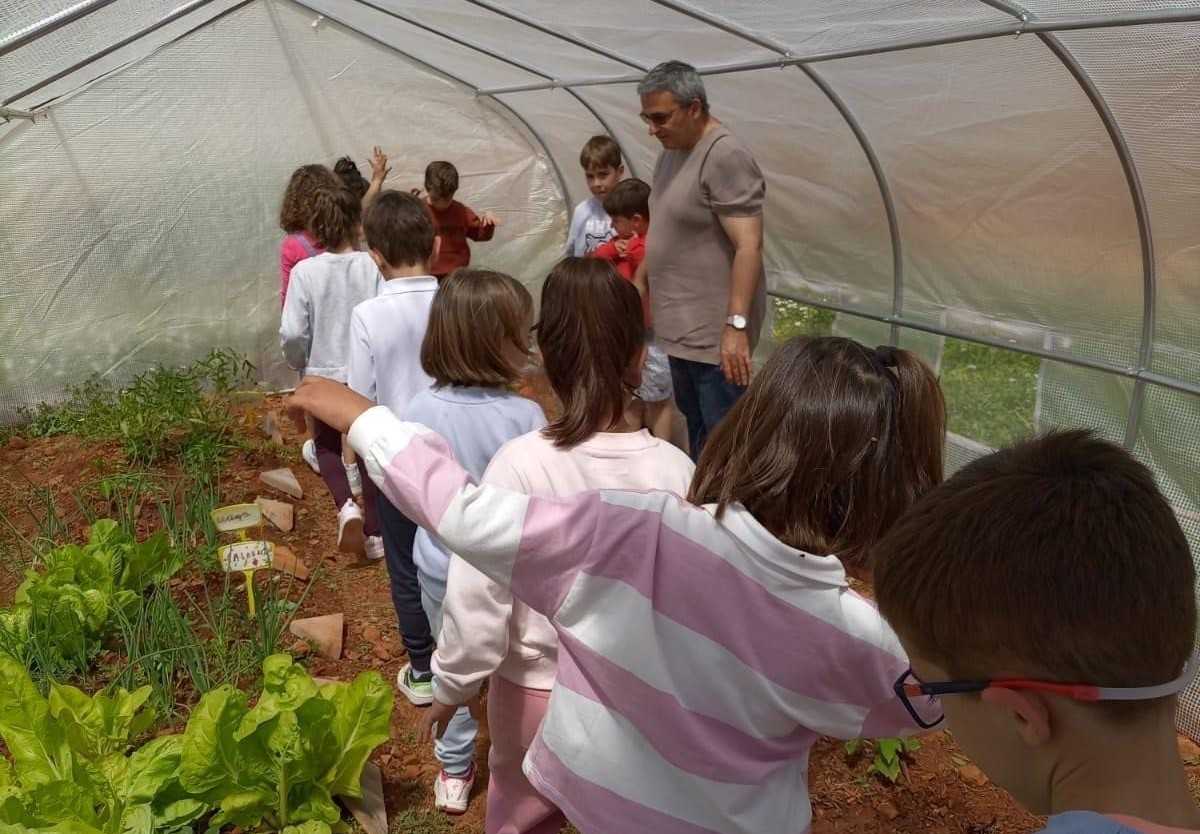 Uno de los huertos escolares ecológicos impulsados por la Diputación de Toledo.