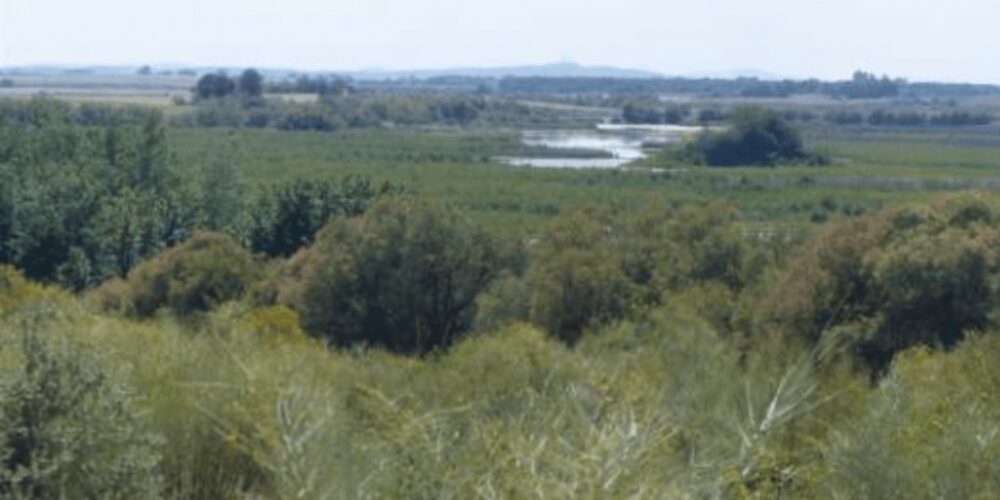 Imagen del Parque Nacional de Las Tablas de Daimiel.