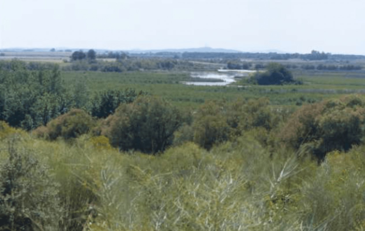 Imagen del Parque Nacional de Las Tablas de Daimiel.