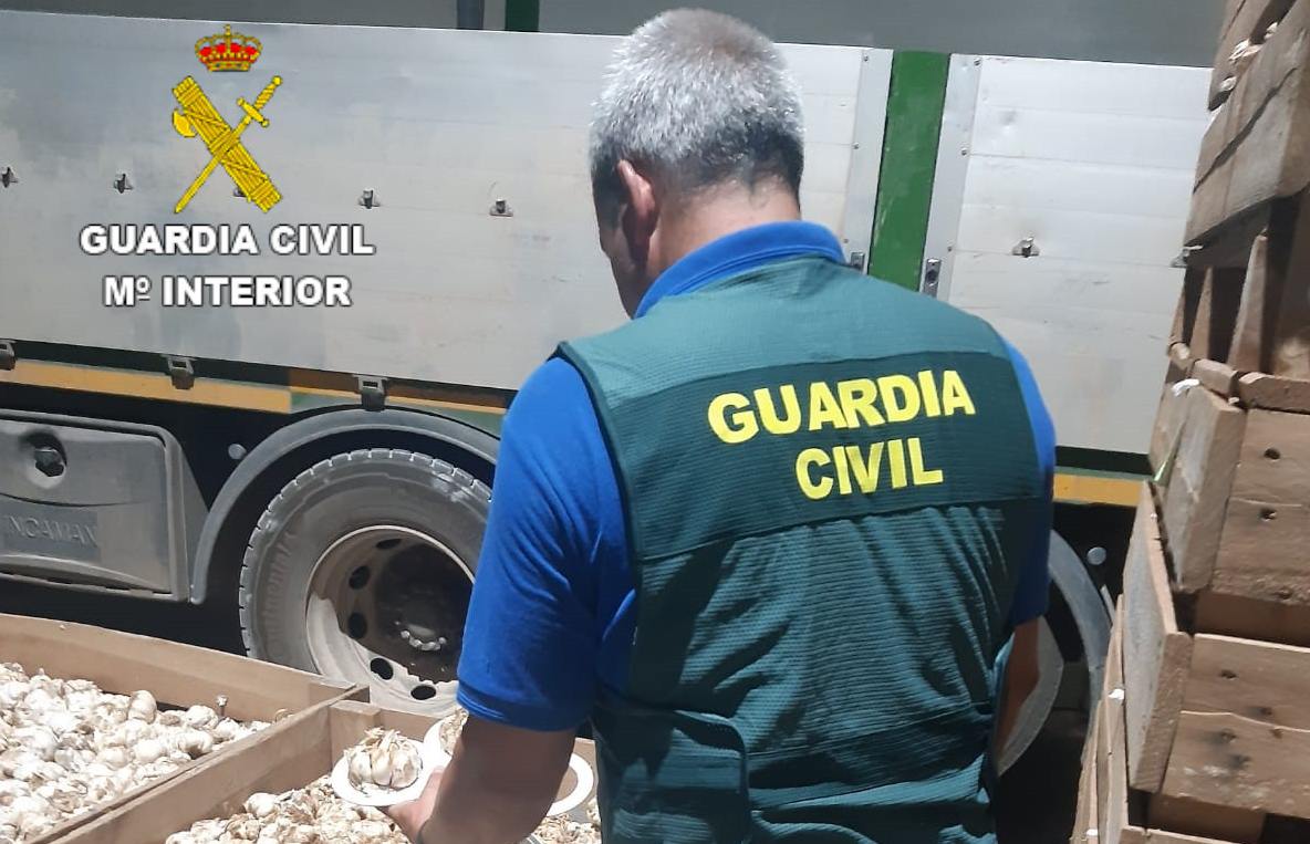 Operación de la Guardia Civil por el supuesto robo de 2.500 kilos de ajo morado.