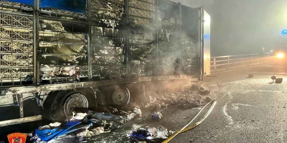 Así quedó el camión incendiado lleno de gallinas. Foto: Cpeis Toledo.