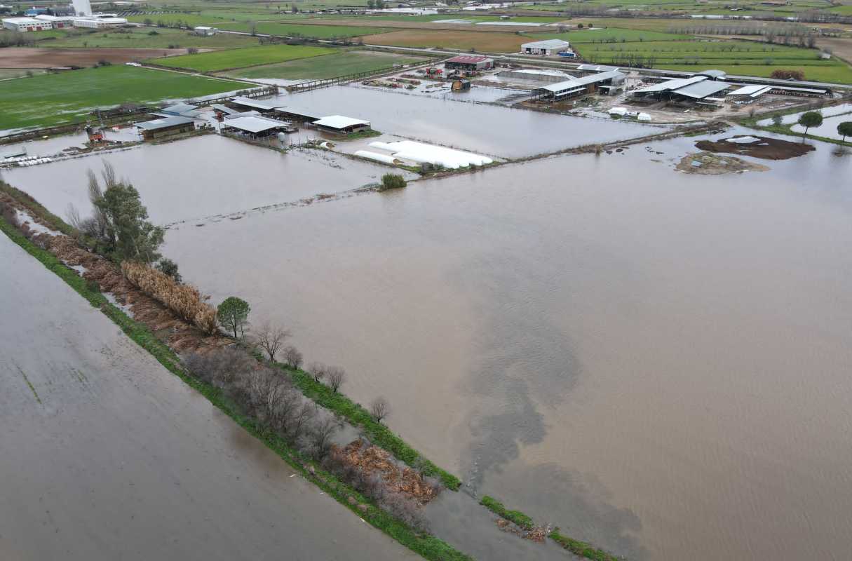 En la imagen, el arroyo desbordado y algunas de las explotaciones anegadas por el agua en Talavera la Nueva.