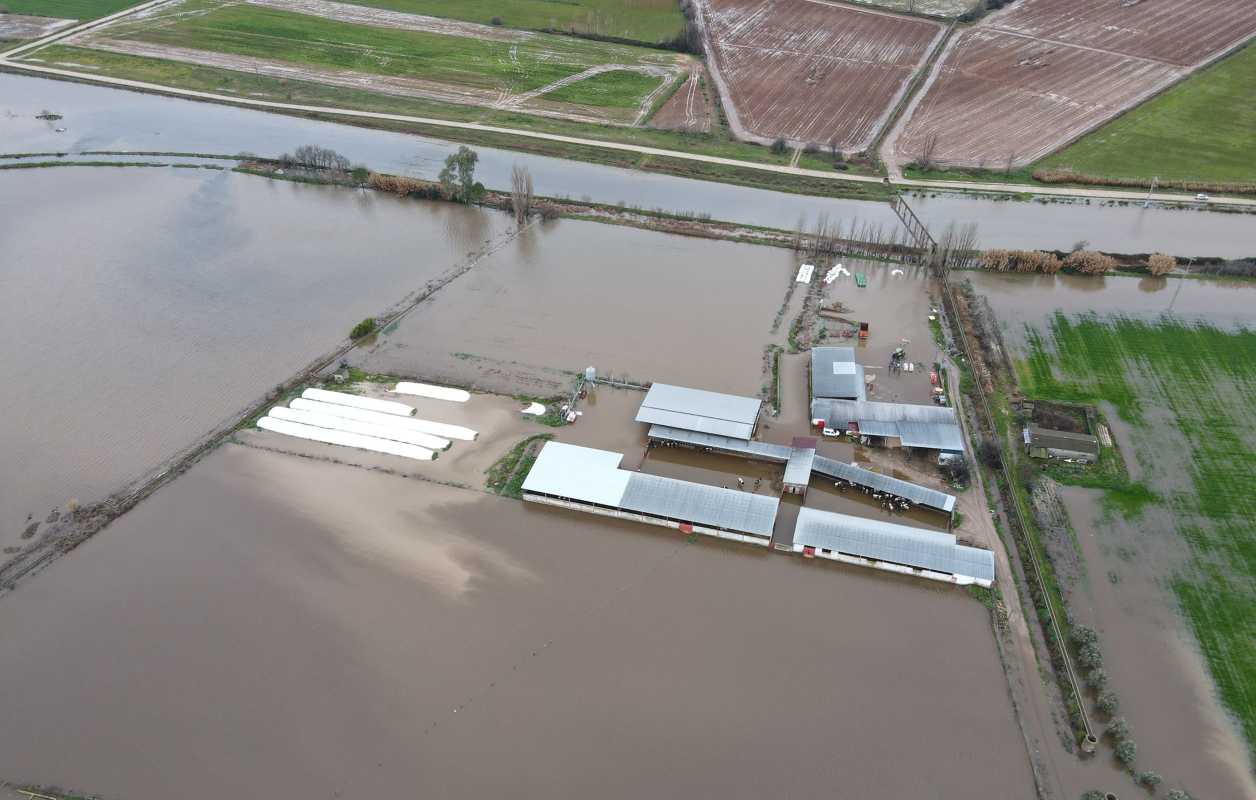 Las explotaciones de Talavera la Nueva inundadas.