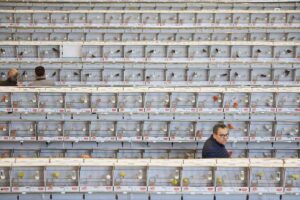 Aspecto de la Inauguración del 71 Campeonato Mundial de Ornitología, este viernes en Talavera de la Reina (Toledo). EFE/Manu Reino