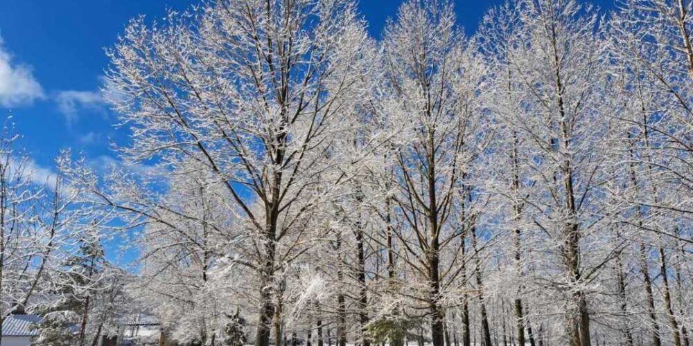Vega del Codorno (Cuenca). Imagen: Mesón Sierra Alta.