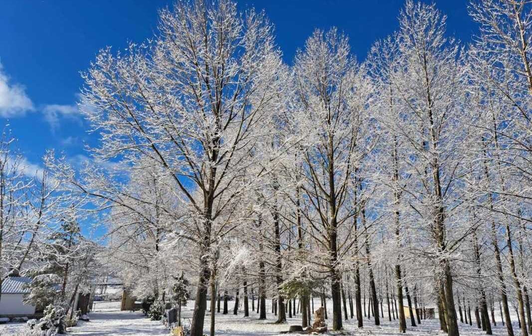 Vega del Codorno (Cuenca). Imagen: Mesón Sierra Alta.