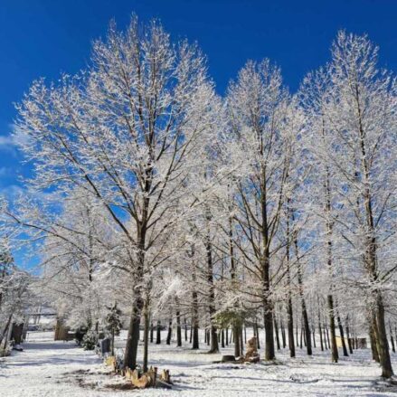 Vega del Codorno (Cuenca). Imagen: Mesón Sierra Alta.