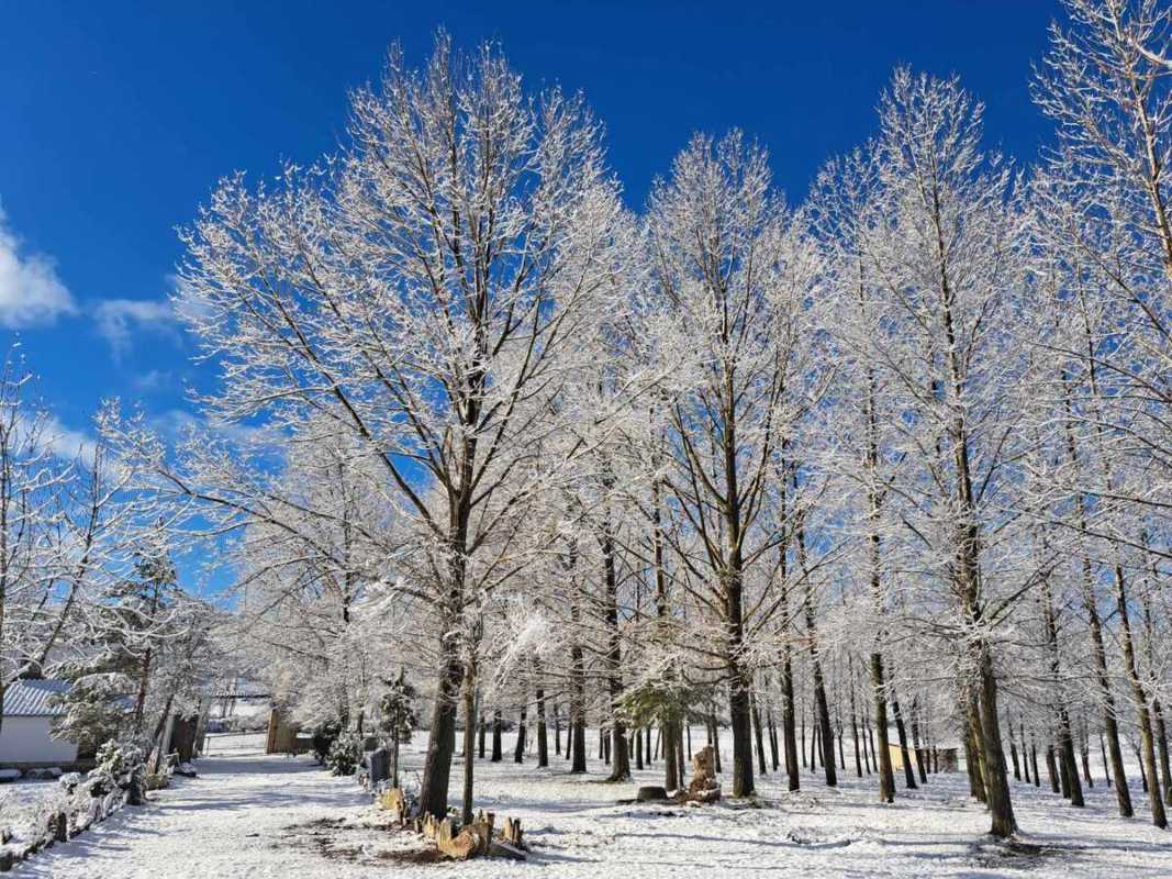 Vega del Codorno (Cuenca). Imagen: Mesón Sierra Alta.