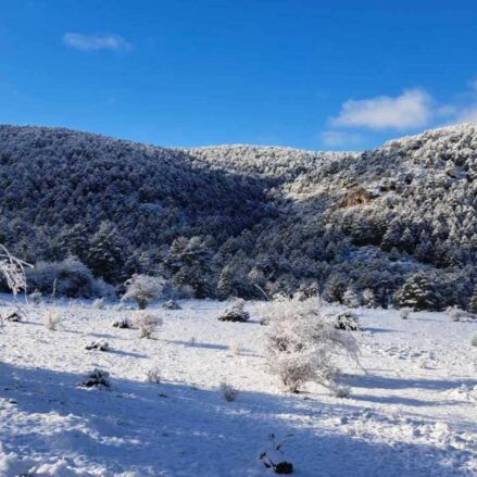 Foto de archivo de nieve en Vega del Codorno (Cuenca). Imagen: Mesón Sierra Alta.