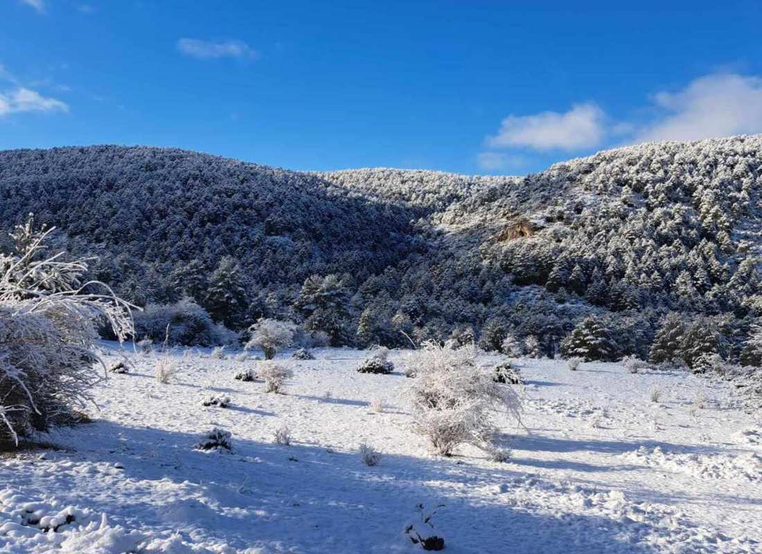 Foto de archivo de nieve en Vega del Codorno (Cuenca). Imagen: Mesón Sierra Alta.