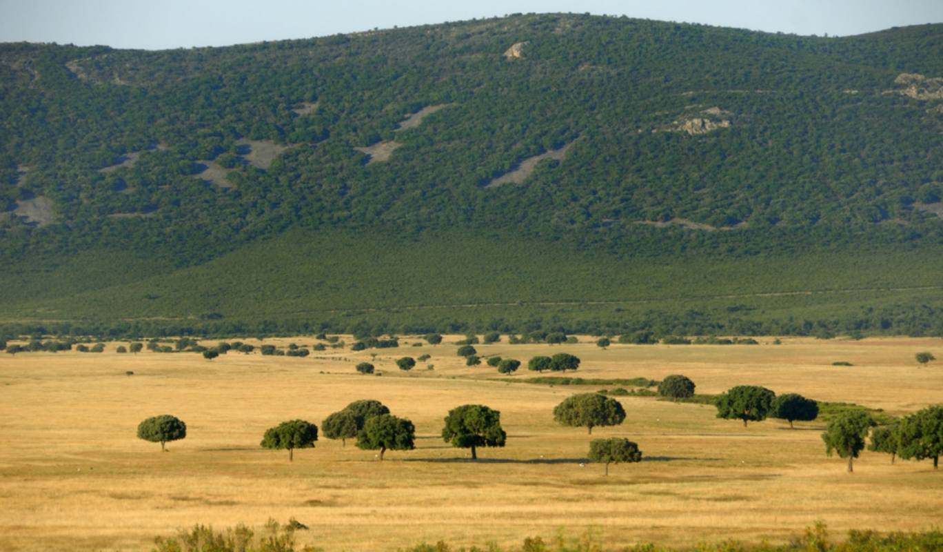 Parque Nacional de Cabañeros. Foto: Turismo CLM.