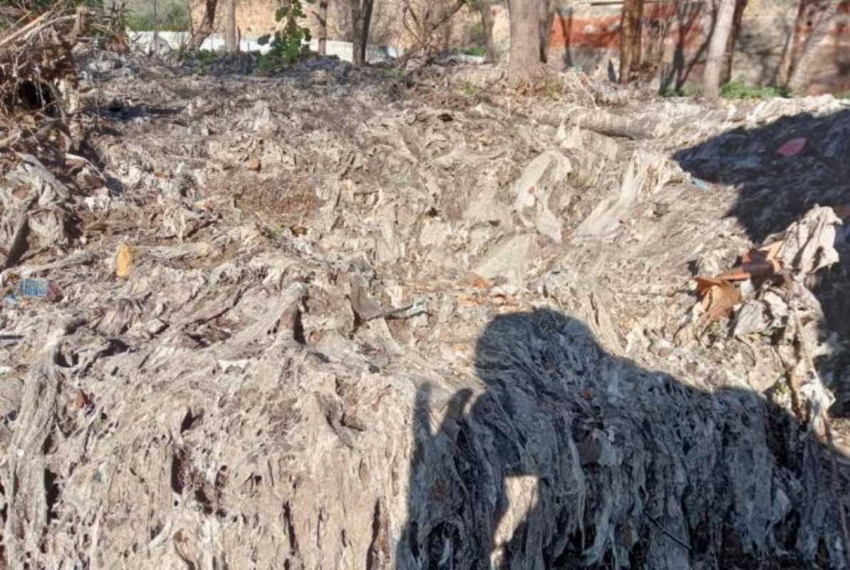 Aspecto parcial de la inmundicia que, como refleja la foto, se arremolina en la ribera del Tajo a su paso por Toledo. Foto: Plataforma en Defensa del Tajo.