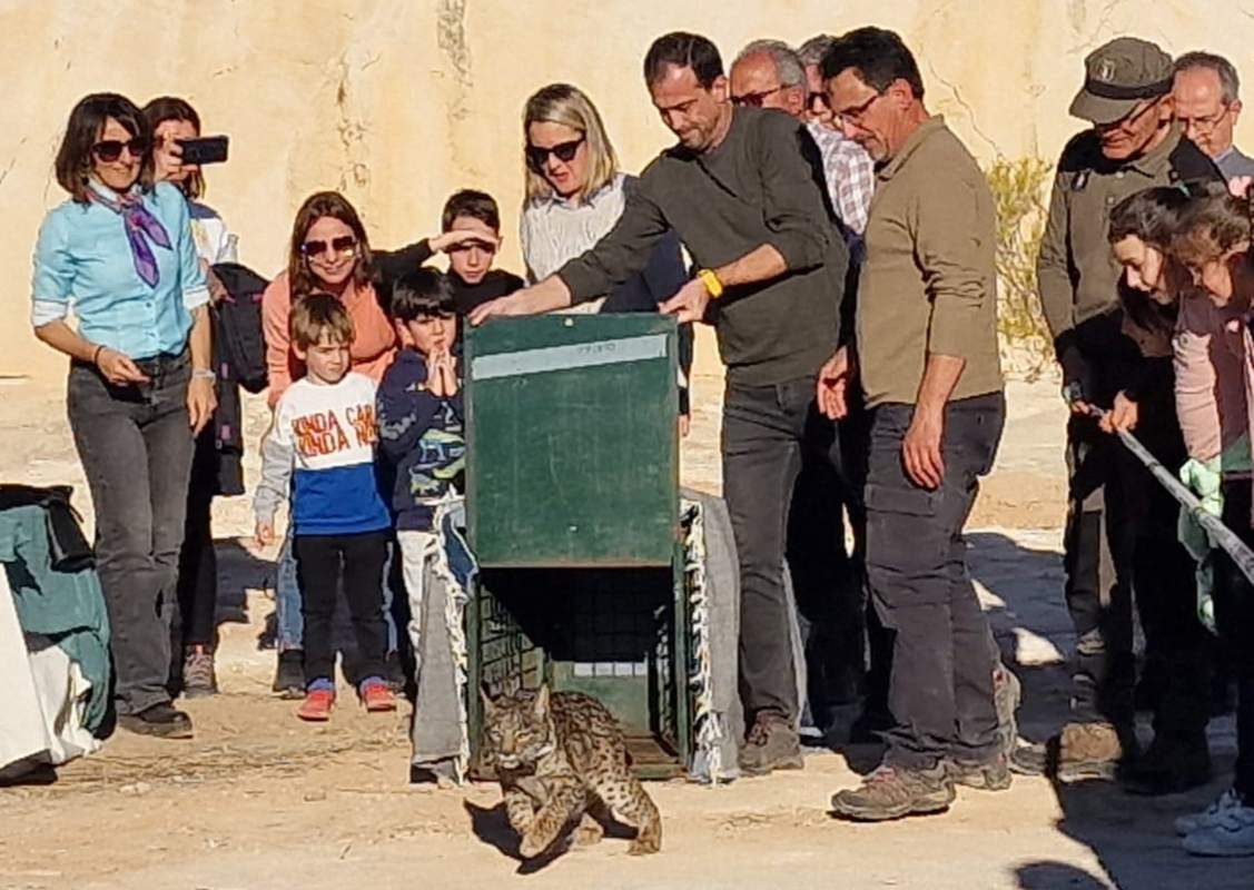 Primera suelta en "Campos de Hellín".