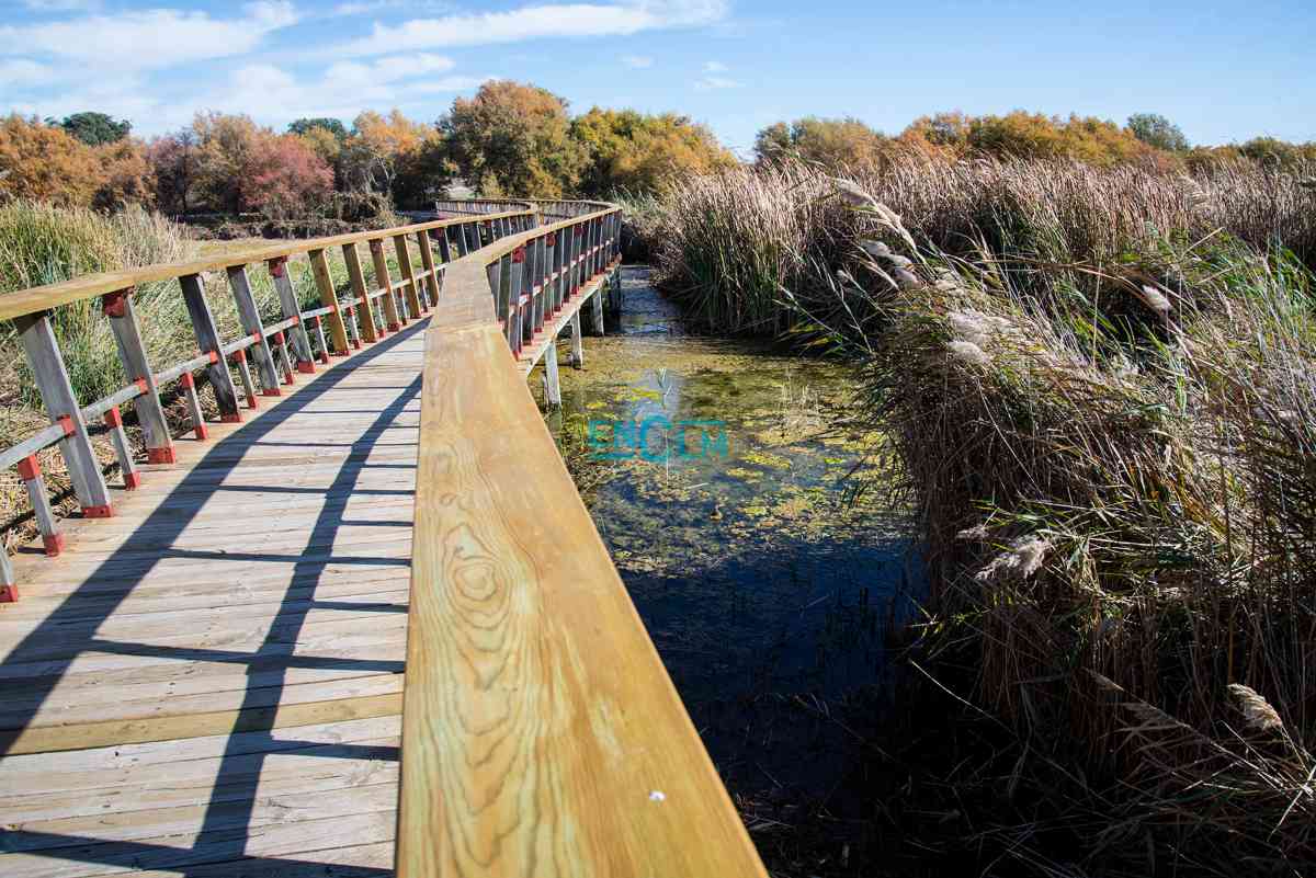 Las Tablas de Daimiel, en la provincia de Ciudad Real. Foto: Rebeca Arango.