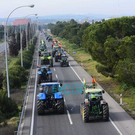 N-400 a la altura del Polígono de Toledo. Foto: Rebeca Arango.