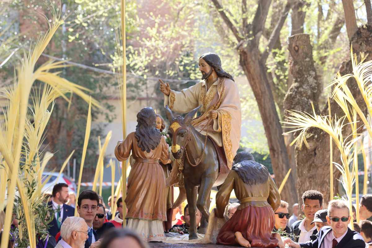 Procesión Domingo de Ramos. Semana Santa Guadalajara