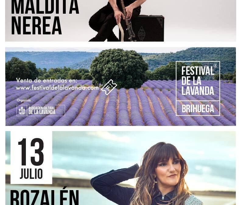 Cartel Festival Lavanda