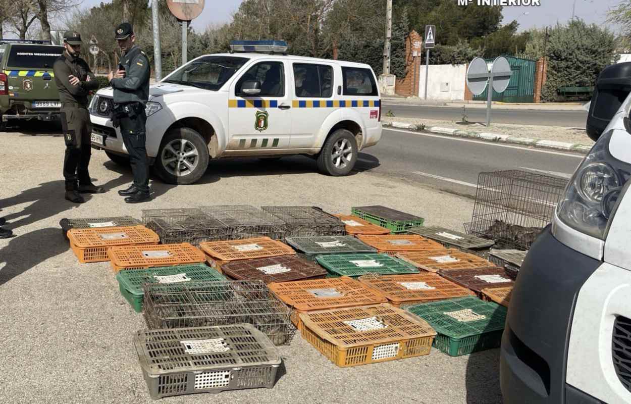 De esta guisa transportaban 300 conejos vivos por la provincia de Toledo.